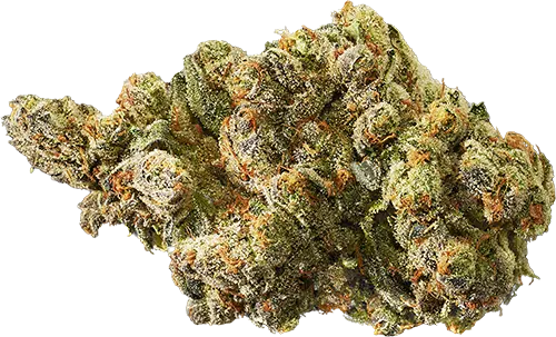 Blue Haze