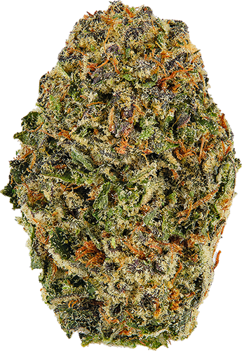 Blueberry Muffins