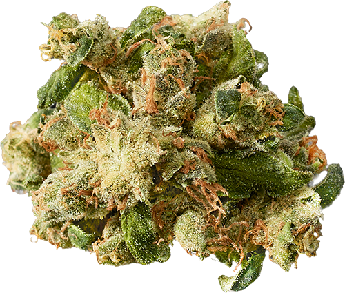 East Coast Sour Diesel