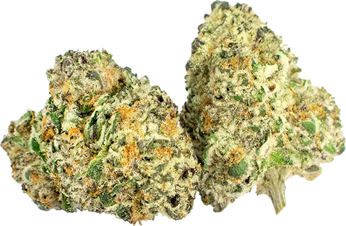 Grape Bubblegum