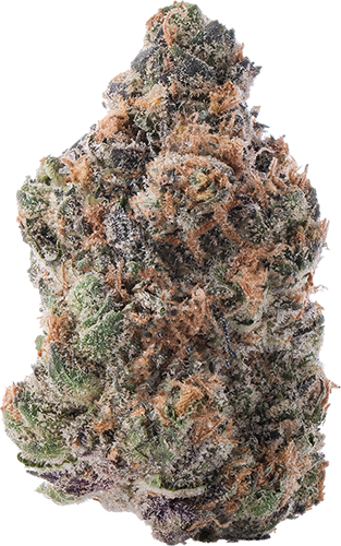 Purple Lemon Punch