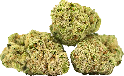 Strawberry Guava