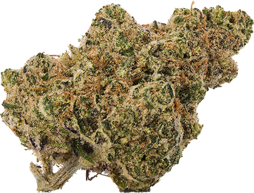 Fresh Powder Fresh Powder - Strain Guide | Verano