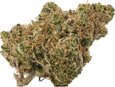 Fresh Powder Fresh Powder - Strain Guide | Verano