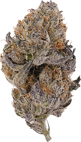 Pink Runtz - Strain Guide | Verano